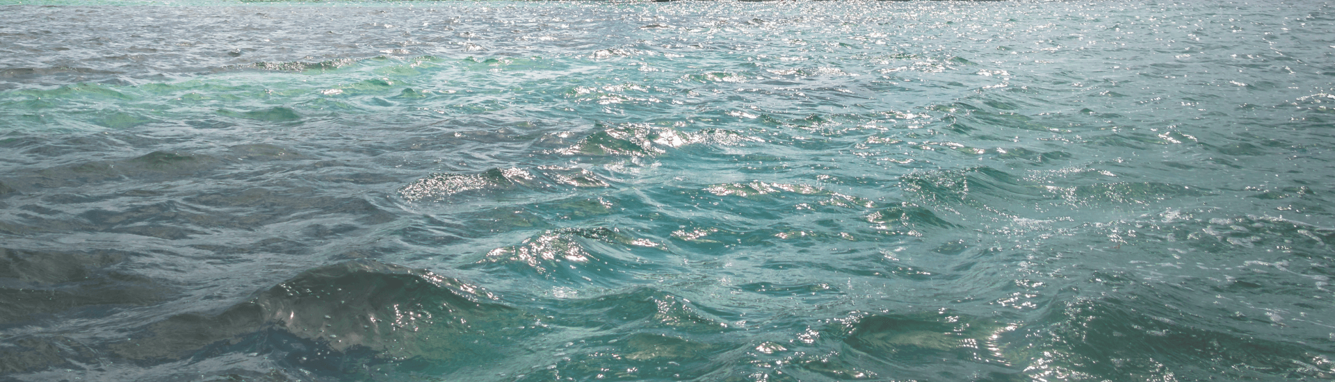 Waves gently ripple across a turquoise sea, glimmering in the sunlight.