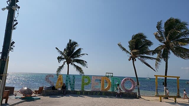 Colorful "San Pedro" sign on a beach with palm trees and a ocean backdrop.
