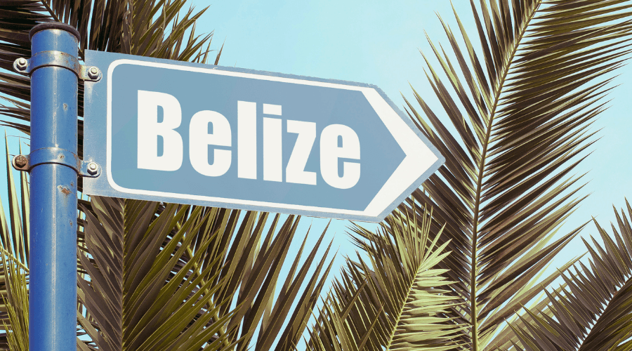 A directional sign pointing to Belize, surrounded by palm leaves.