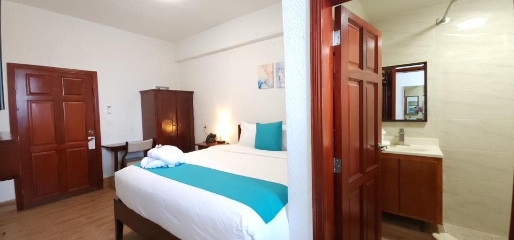 A cozy hotel room featuring a queen bed, wooden furniture, and a bathroom area.